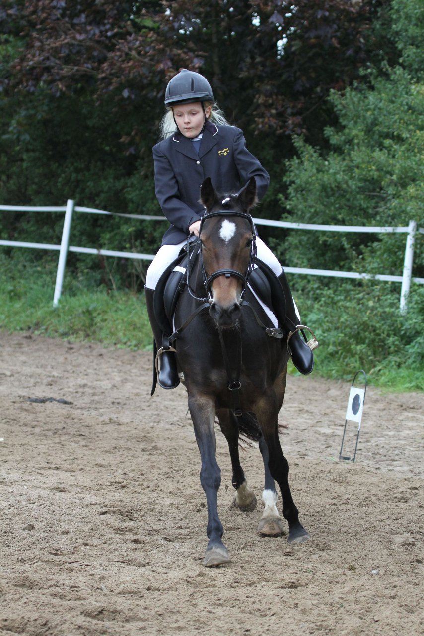 Bild 1039 - WBO-Turnier am 18.9.11